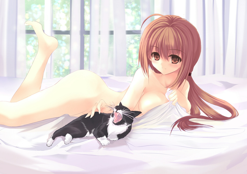 ahoge bad_feet barefoot bed blanket breasts brown_eyes brown_hair cat dreamlight2000 feet highres long_hair lying medium_breasts naked_sheet nude on_stomach original solo window yawning