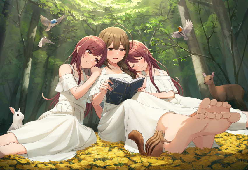 3girls alstroemeria_(idolmaster) barefoot bird brown_hair deer dress forest highres idolmaster idolmaster_shiny_colors kurageso kuwayama_chiyuki leaning_on_person long_hair looking_at_object multiple_girls nature off-shoulder_shirt off_shoulder on_ground osaki_amana osaki_tenka rabbit reading shirt sitting sleeping soles squirrel straight_hair toes very_long_hair white_dress