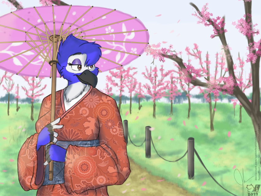 2019 anthro asian_clothing avian beak bird black_beak black_body black_eyebrows black_feathers blue_body blue_feathers blue_jay brown_eyes cherry_blossom cherry_blossom_tree cherry_tree clothing corvid countershade_torso countershading detailed_background east_asian_clothing eyebrows eyelashes eyeshadow facial_markings feathers female fingerless_(marking) fruit_tree grass hair hair_over_eye head_markings japanese_clothing jay_(bird) kimono looking_away makeup markings mask_(marking) multicolored_body new_world_jay one_eye_obstructed oscine outside overcast parasol passerine path petals plant purple_eyeshadow red_clothing sammfeatblueheart signature sky smile solo tree white_body white_feathers