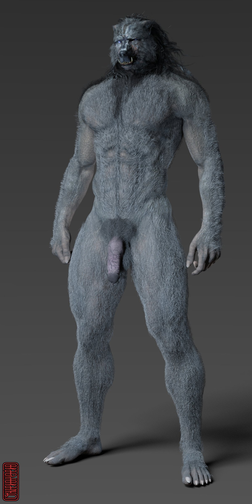 2022 3d_(artwork) abs absurd_res anthro balls blaidd_(elden_ring) canid canine canis chest_tuft claws digital_media_(artwork) elden_ring flaccid fromsoftware genitals grey_body hi_res hybrid_genitalia knot looking_at_viewer male mammal mane mouth_closed muscular muscular_anthro muscular_male navel neck_tuft nude pecs penis pubes purple_eyes scar shoulder_tuft simple_background standing tuft tusks ugnaughtsden vein veiny_penis video_games wolf