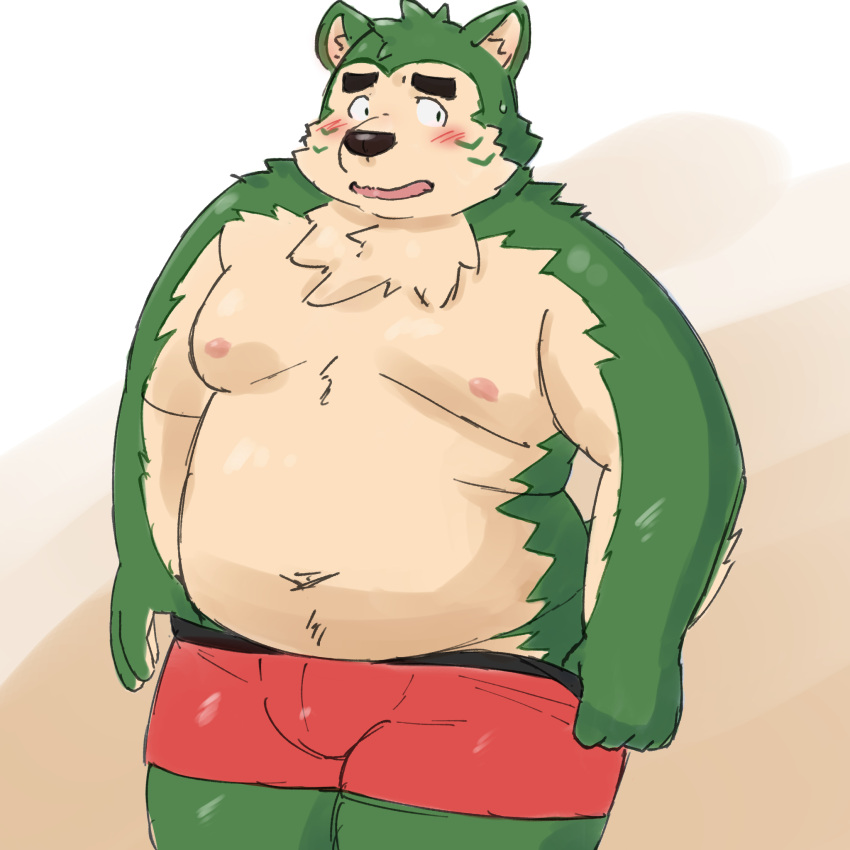 2022 anthro belly big_belly black_nose blush bulge canid canine canis clothing domestic_dog green_body hi_res kemono lifewonders live-a-hero male mammal mokdai moobs navel nipples overweight overweight_male solo underwear video_games yaki_atsuage