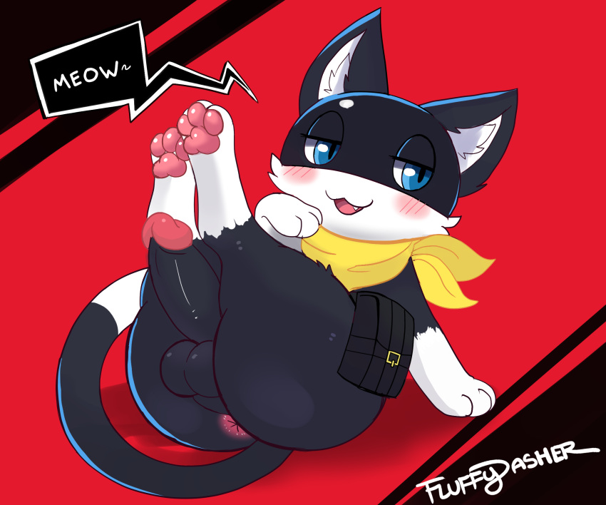 anthro anus atlus balls blue_eyes butt domestic_cat felid feline felis fluffydasher genitals hi_res legs_up male mammal megami_tensei megami_tensei_persona morgana_(persona) pawpads penis simple_background solo video_games