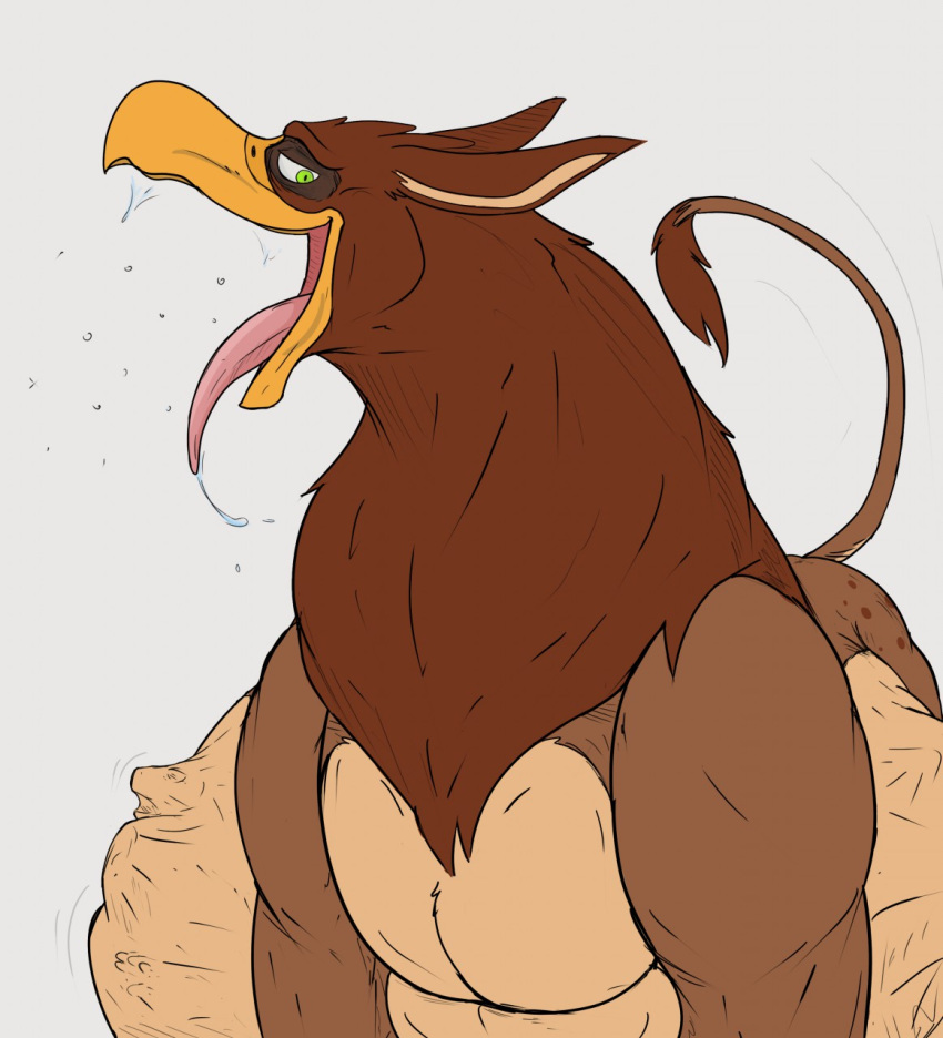 abdominal_bulge after_vore avian beak bodily_fluids burping feral feral_pred gryphon gryphon_pred hi_res looking_down male male_pred mythological_avian mythology saliva thatgryphonguy tongue tongue_out unwilling_prey vore wingless_gryphon