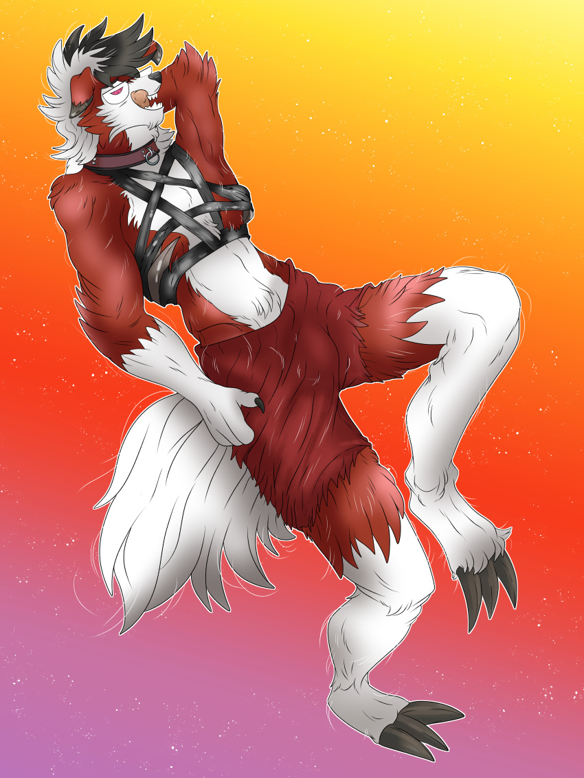 absurd_res bottomwear bulge canid canine canis claws clothing crystal_fox generation_7_pokemon harness hi_res lycanroc male mammal nintendo pokemon pokemon_(species) rook_wolfspirit shorts solo video_games wolf