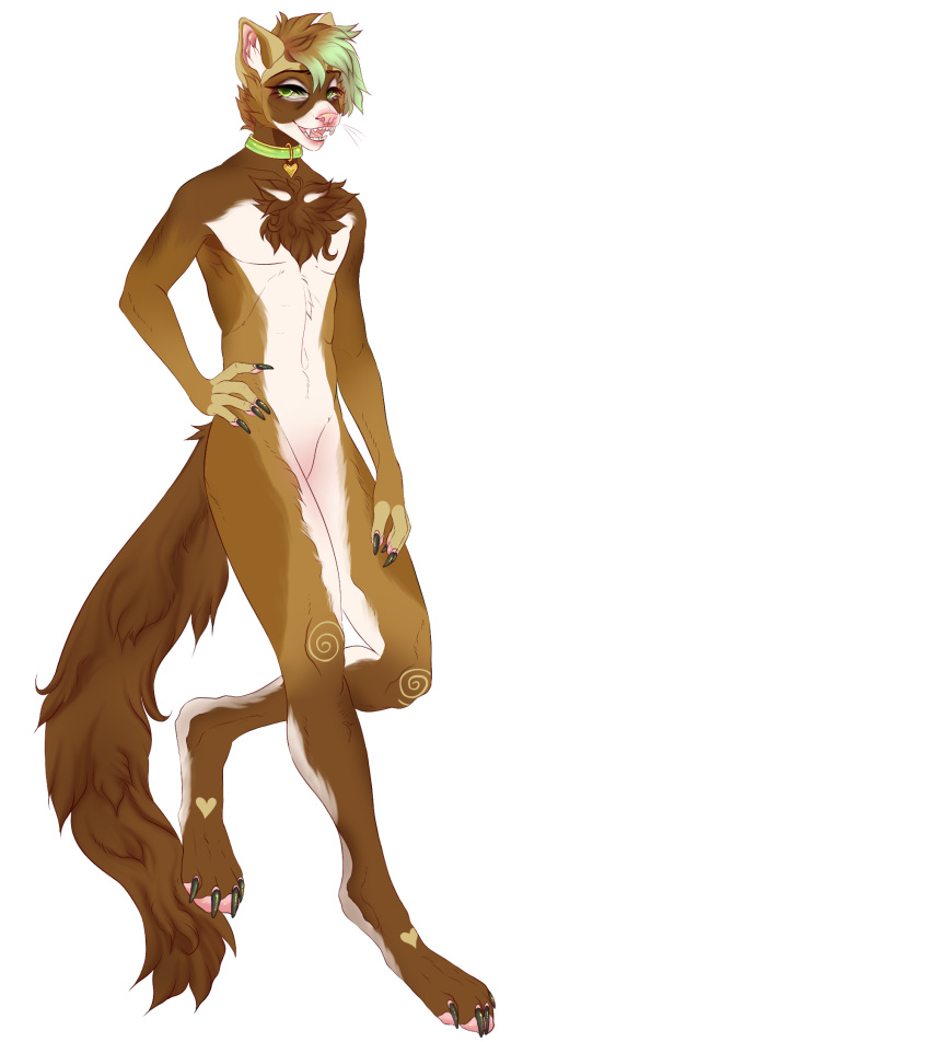 &lt;3 alex_ferret anthro brown_hair collar collar_only domestic_ferret dyed-hair fluffy fluffy_tail girly hair hand_on_hip hi_res looking_at_viewer male mammal mustela mustelid musteline nude open_mouth pink_nose smile solo standing tall trip_atlantic true_musteline