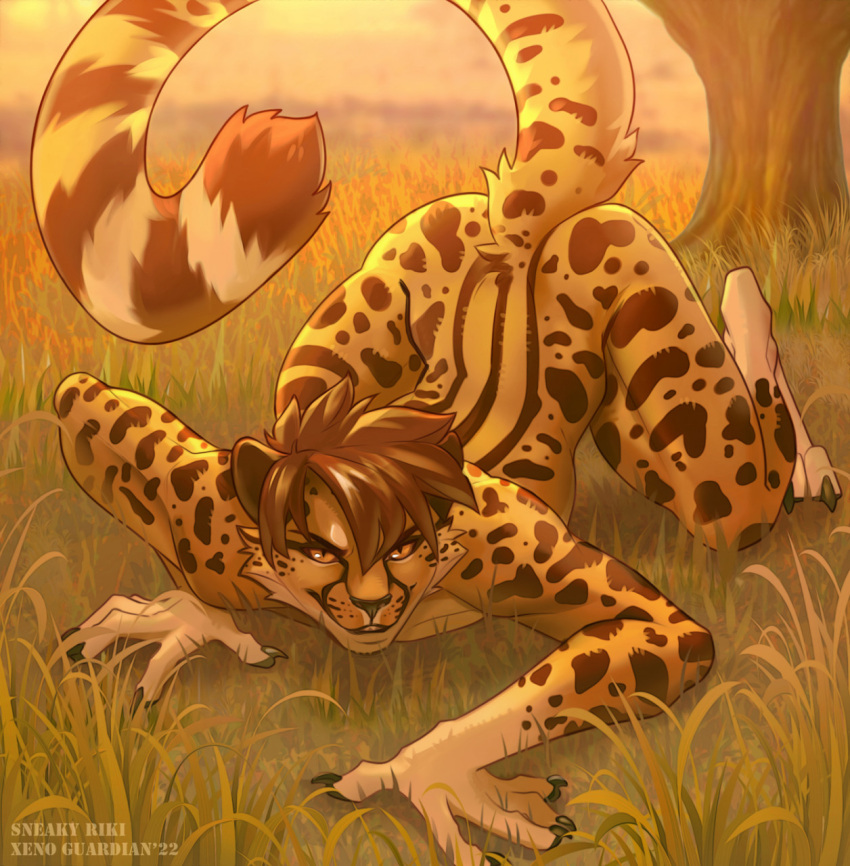 acinonyx_jubatus all_fours anthro arched_back ass_up bedroom_eyes black_sclera blurred_background brown_hair cheetah clawed_fingers commander_braithor digital_media_(artwork) felid feline fighting_pose fur grass hair hi_res imminent_pounce looking_at_viewer male mammal narrowed_eyes nude orange_eyes outside plant pose raised_tail savanna seductive smile solo spots spotted_body spotted_fur striped_body striped_fur stripes tree xenoguardian yellow_body yellow_fur