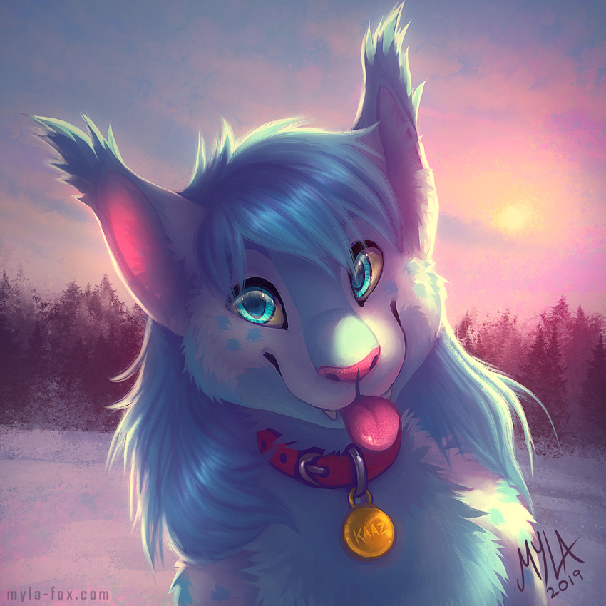 1:1 2019 anthro backlighting blep blue_body blue_eyes blue_fur blue_hair bust_portrait collar dated fangs female front_view fur glistening glistening_eyes hair hi_res light lighting long_hair looking_at_viewer mylafox outside pink_tongue plant portrait red_collar signature snow solo species_request tan_sclera tongue tongue_out tree white_body white_fur