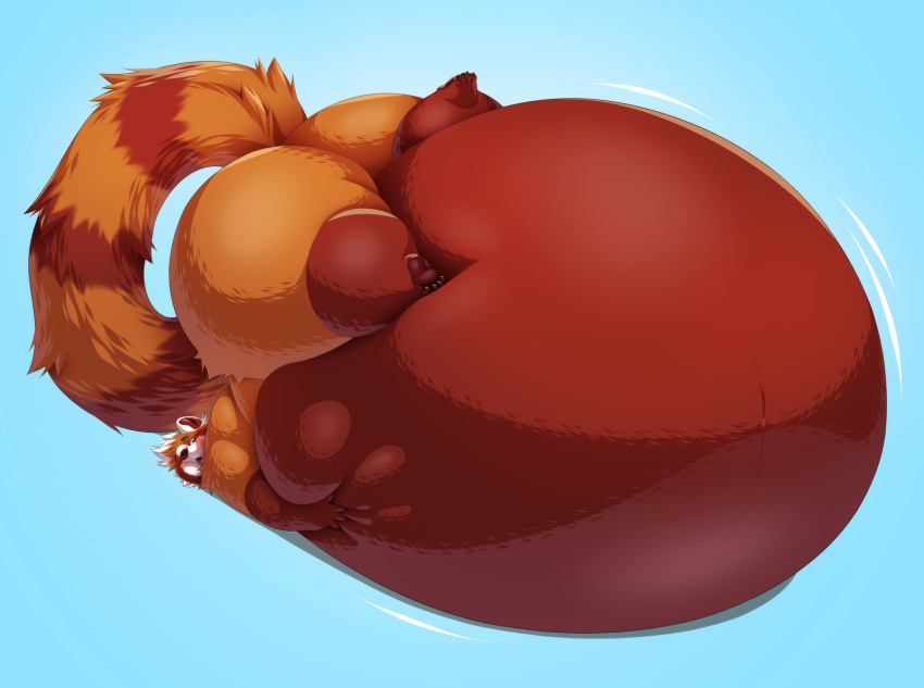 2022 ailurid anthro artisipancake ass_up belly belly_squeeze belly_squish big_belly big_butt blush butt cheek_tuft chubby_cheeks face_squish facial_tuft fluffy fluffy_tail full-length_portrait fur hand_on_stomach hi_res huge_butt huge_thighs hyper hyper_belly immobile looking_back male mammal morbidly_obese motion_lines navel obese orange_body orange_fur overweight portrait red_body red_fur red_panda rolling_over sheebs simple_background solo squish thick_thighs tuft upside_down white_body white_fur