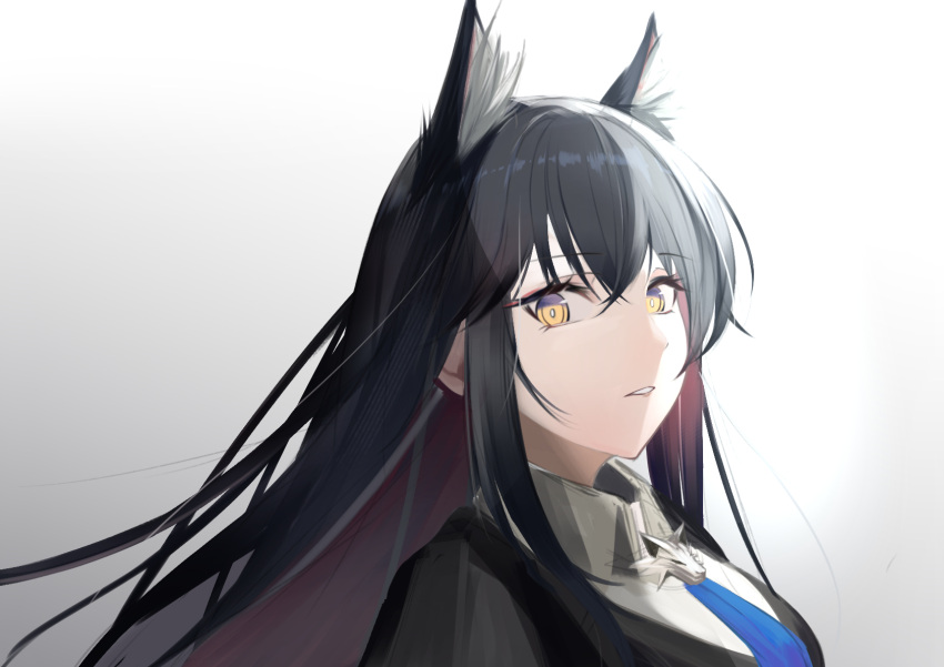 1girl animal_ear_fluff animal_ears arknights bangs bat_wings black_hair blue_necktie bright_pupils colored_inner_hair from_side gradient gradient_background grey_background highres long_hair looking_at_viewer looking_to_the_side multicolored_hair necktie parted_lips red_hair solo tenmu_miyabi texas_(arknights) texas_the_omertosa_(arknights) two-tone_hair upper_body white_background wings wolf_ears yellow_eyes