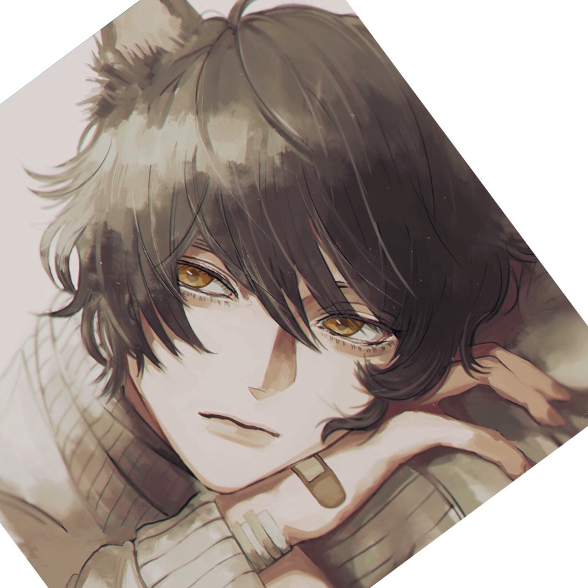 1boy ahoge animal_ears arm_pillow bandaid bandaid_on_hand bangs black_hair brown_hair cat_boy cat_ears closed_mouth cognacbear hair_between_eyes hand_on_own_arm head_rest highres light_particles long_sleeves looking_away male_focus original portrait short_hair sideways_glance solo white_background yellow_eyes