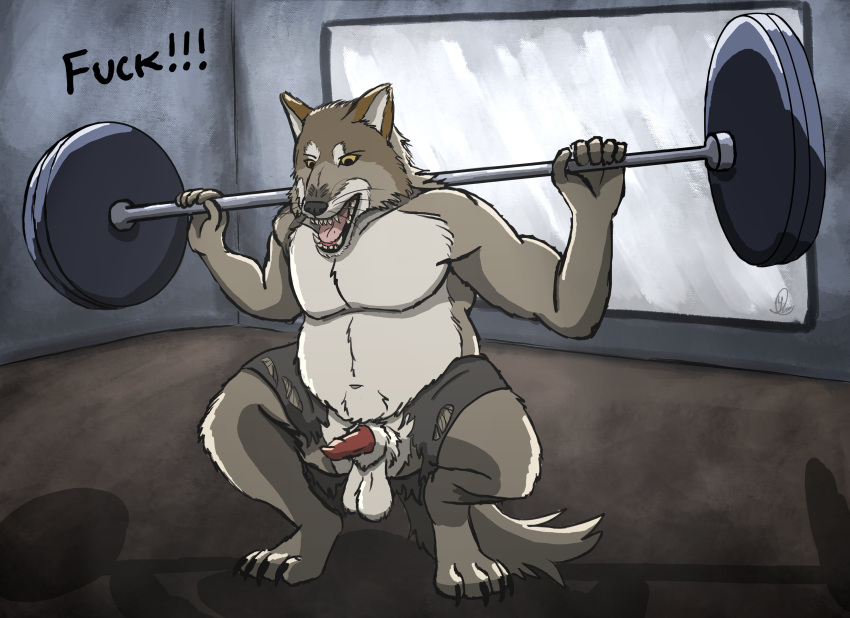 absurd_res anatomically_correct anthro balls bottomwear brown_body brown_fur canid canine canis clothing exercise exposed freeballing fur genitals gym hi_res kinktober male mammal mirror musclegut penis shorts simple_background solo torn_bottomwear torn_clothing torn_shorts wardrobe_malfunction weightlifting weights wolf workout yellow_eyes yenocwolf