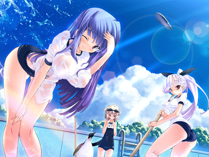 aircraft bangs bent_over bird blonde_hair blue_hair blunt_bangs breast_envy breasts cloud day dirigible empty_pool flat_chest goggles goggles_on_head highres kuro_uso-ko large_breasts lens_flare light_rays multiple_girls name_tag one-piece_swimsuit one_eye_closed original penguin pool pool_ladder purple_hair rainbow school_swimsuit see-through short_hair sky sparkle sunbeam sunlight swimsuit torisan wet wet_clothes white_hair