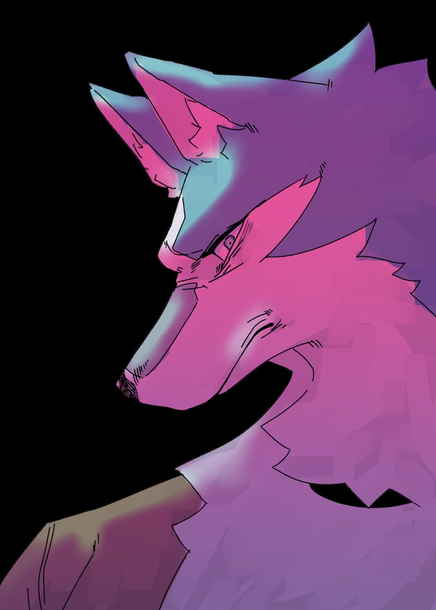 anthro black_background blue_body blue_eyes blue_fur brand_new_animal bust_portrait canid canine canis clothed clothing coat collar frown fur hi_res looking_at_viewer male mammal mhcmm909 multicolored_body multicolored_fur neck_tuft pink_lighting portrait shirou_ogami simple_background solo studio_trigger topwear tuft two_tone_body two_tone_fur white_body white_fur wolf