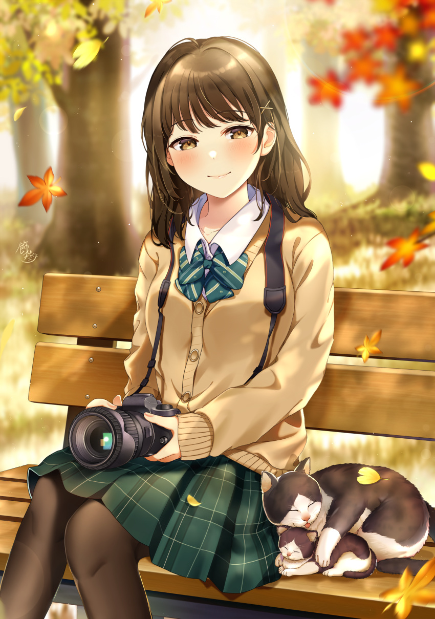 1girl autumn autumn_leaves backlighting bangs bench blurry blurry_background blush brown_hair brown_pantyhose camera cat closed_mouth collared_shirt falling_leaves grass green_skirt highres holding holding_camera kazari_hisa leaf looking_at_viewer maple_leaf original outdoor_unit pantyhose park_bench plaid plaid_skirt pleated_skirt school_uniform shirt single-lens_reflex_camera sitting skirt smile solo tree vest white_shirt yellow_eyes yellow_vest