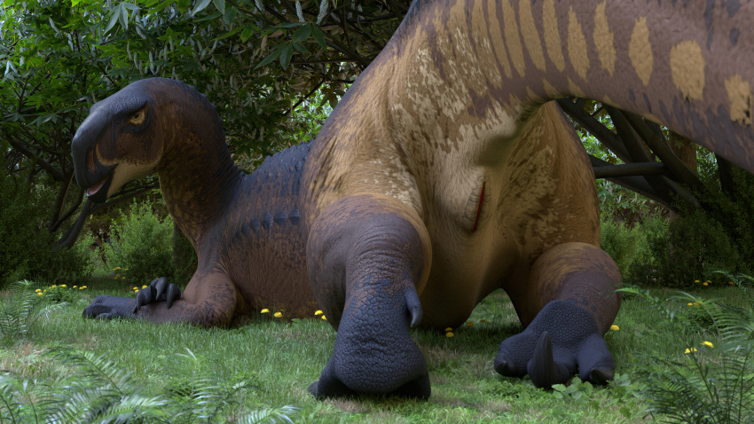 3d_(artwork) animal_genitalia asuros barlu beak blender_(software) brown_body brown_eyes butt claws cloaca crossed_forelegs dandelion digital_media_(artwork) dinosaur feet female feral fern flower forest forest_background genitals grey_back hi_res hindpaw iguanodon iguanodontid isle looking_at_viewer looking_back looking_back_at_viewer nature nature_background open_beak open_mouth ornithischian paws pink_tongue plant raised_tail rear_view reptile scales scalie solo tan_underbelly the_isle thick_tail tongue tree