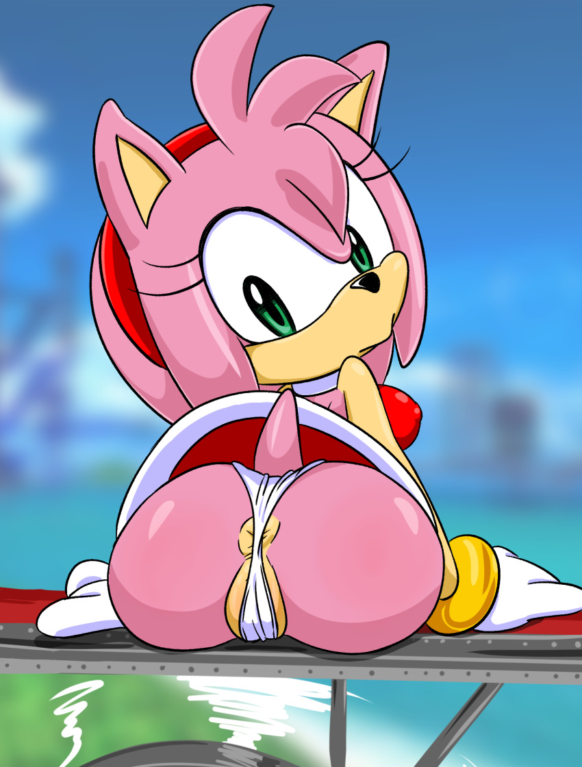 amy_rose anthro anus clothing eulipotyphlan female hedgehog hi_res mammal panties pokachu_(artist) sega solo sonic_the_hedgehog_(series) underwear