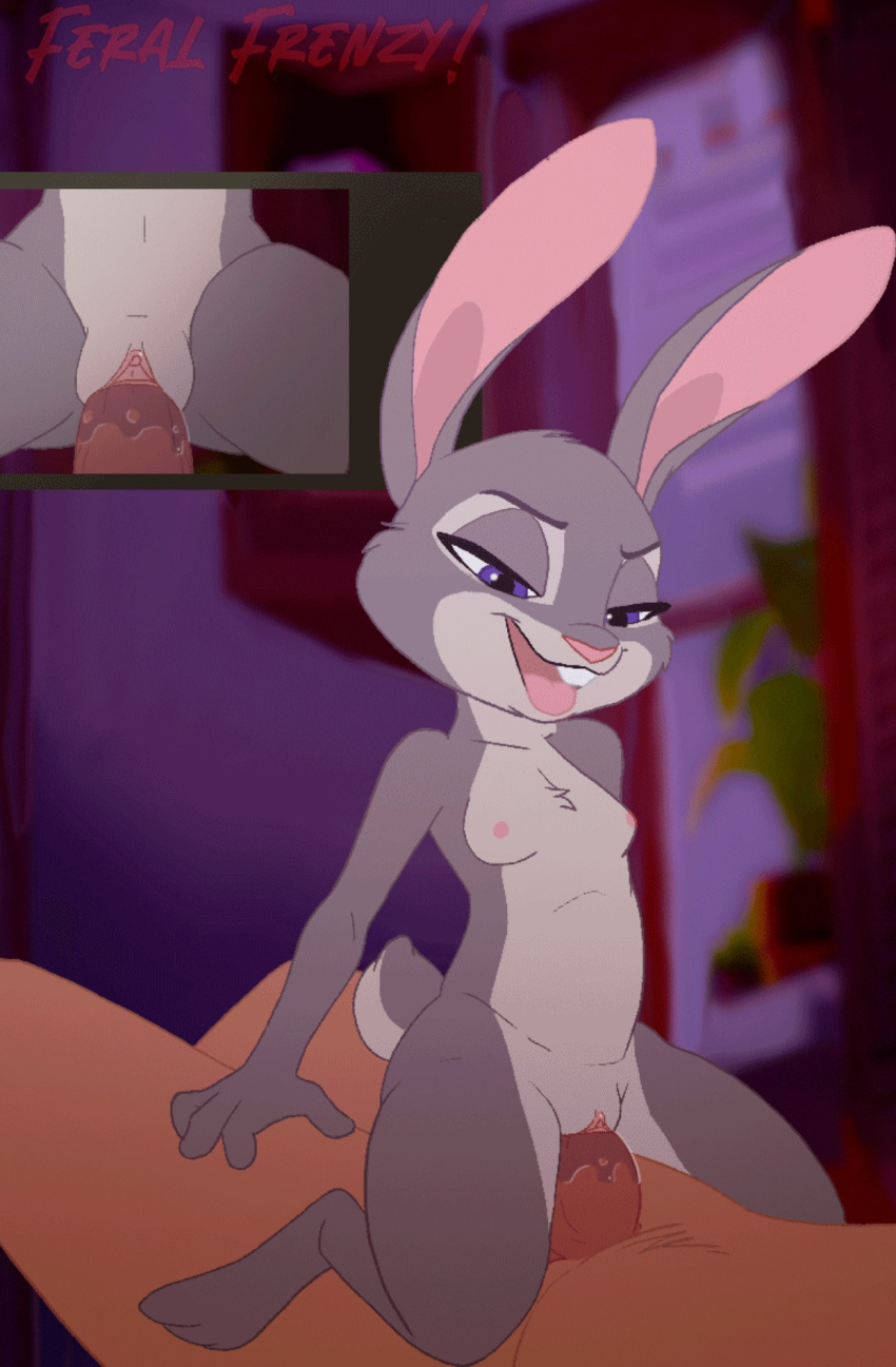 anthro bedroom_eyes bodily_fluids breasts cowgirl_position devious disney duo ears_up eyelashes female from_front_position genital_fluids genitals hands_behind_back hi_res human human_on_anthro humanoid_genitalia interspecies judy_hopps lagomorph leporid looking_at_another male male/female mammal narrowed_eyes nipples on_bottom on_top penetration preview purple_eyes pussy pussy_juice rabbit seductive sex size_difference straddling vaginal vaginal_penetration zootopia