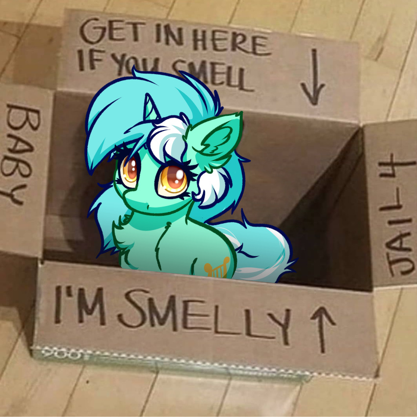absurd_res amber_eyes box cardboard cardboard_box container english_text equid equine friendship_is_magic fur green_body green_fur green_hair hair hasbro hi_res horn lyra_heartstrings_(mlp) mammal my_little_pony real text unicorn white_hair witchtaunter yellow_eyes