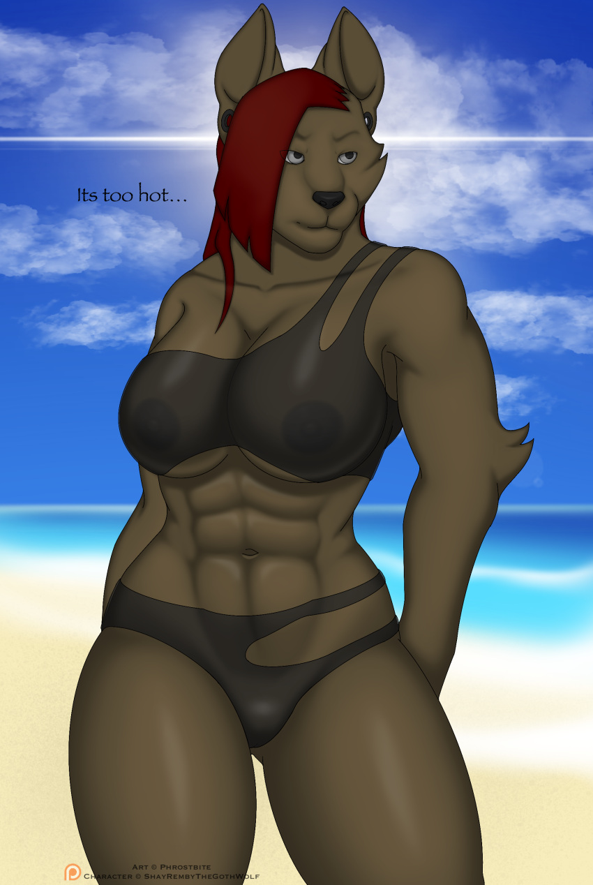 2022 abs absurd_res annoyed anthro areola beach big_breasts black_bikini_bottom black_bikini_top black_nipples black_nose breasts brown_body brown_fur canid canine canis cleft_of_venus clothing cloud crossgender ear_piercing english_text female fur gauged_ear grey_eyes hair hair_over_eye hi_res horizon long_hair mammal monotone_body muscular muscular_anthro muscular_female nipples one_eye_obstructed patreon patreon_logo phrostbite piercing red_hair sand seaside shay_winters sky solo summer sunny text thick_thighs translucent translucent_clothing watermark wide_hips wolf