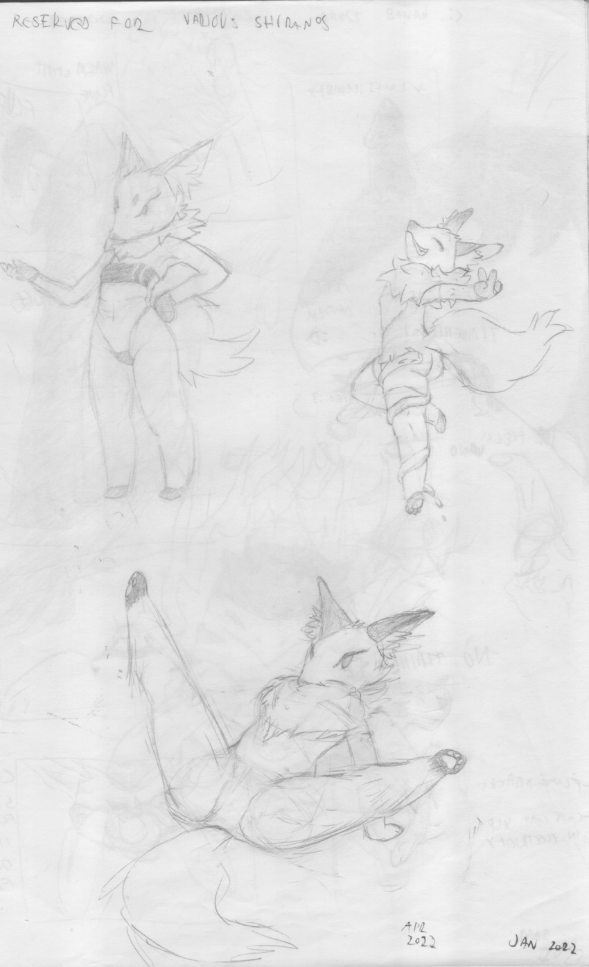 anthro arm_warmers armwear beckoning canid canine clothing female fox gesture gris_swimsuit group hi_res inner_ear_fluff legwear mammal meme meme_clothing neck_tuft one-piece_swimsuit shefdon shirano sketch spread_legs spreading squish swimwear thigh_highs thigh_squish translucent translucent_clothing translucent_swimwear trio tuft v_sign world_flipper