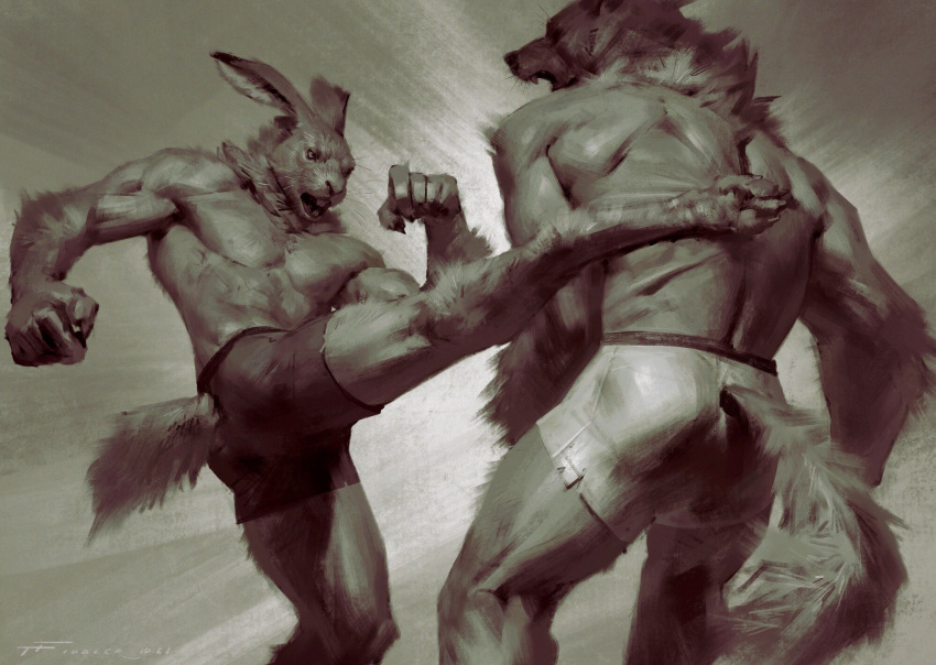 4_toes abs anthro bottomwear canid canine canis claws clothing cloud digitigrade duo feet fight fur hare hi_res kick lagomorph leporid male mammal muscular muscular_anthro muscular_male neck_tuft nipples sharp_teeth shirtless tail taran_fiddler teeth toes tuft were wolf