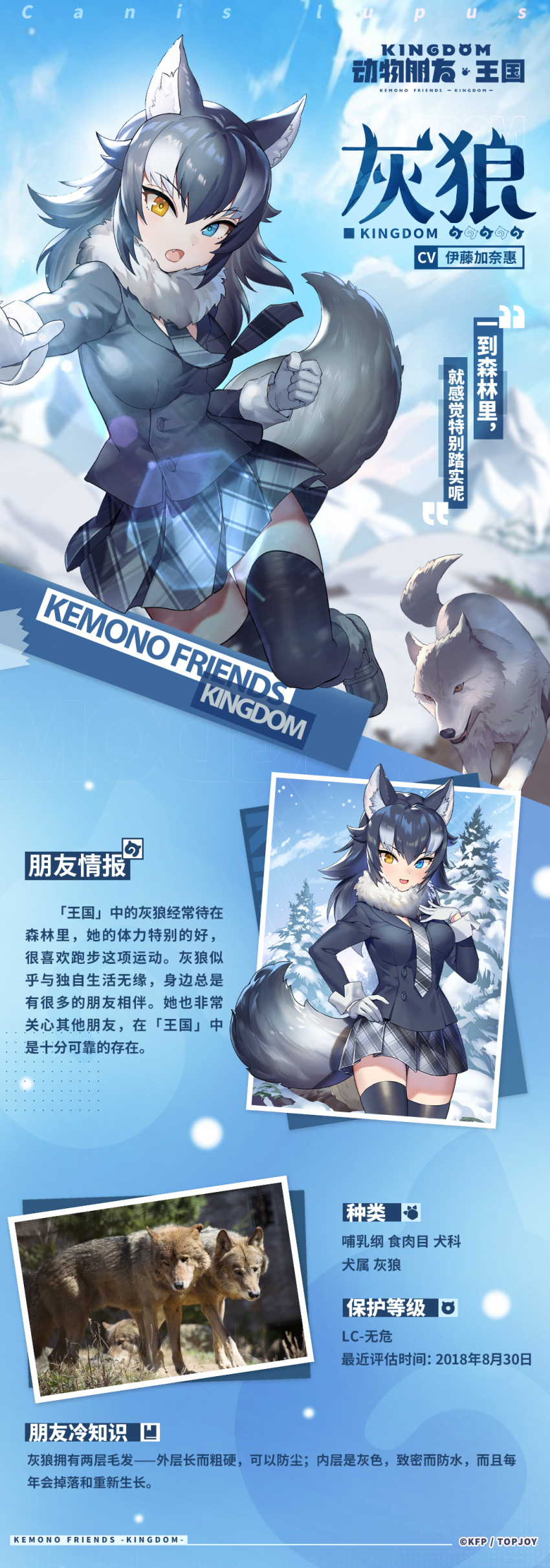 1girl absurdres animal_ear_fluff animal_ears black_coat black_hair black_thighhighs blurry chinese_text coat gloves grey_hair grey_wolf grey_wolf_(kemono_friends) heterochromia highres kemono_friends kemono_friends_kingdom mountain multicolored_hair nature open_mouth personification plaid plaid_skirt plaid_tie pose skirt smile snow snowing tail thighhighs translation_request white_gloves wolf_ears wolf_girl wolf_tail