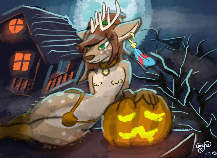 absurd_res anthro brown_body brown_fur cervid ceryne_(artist) ceryne_(ceryne) clothed clothing fur girly halloween hi_res holidays jack-o'-lantern male mammal solo thong underwear