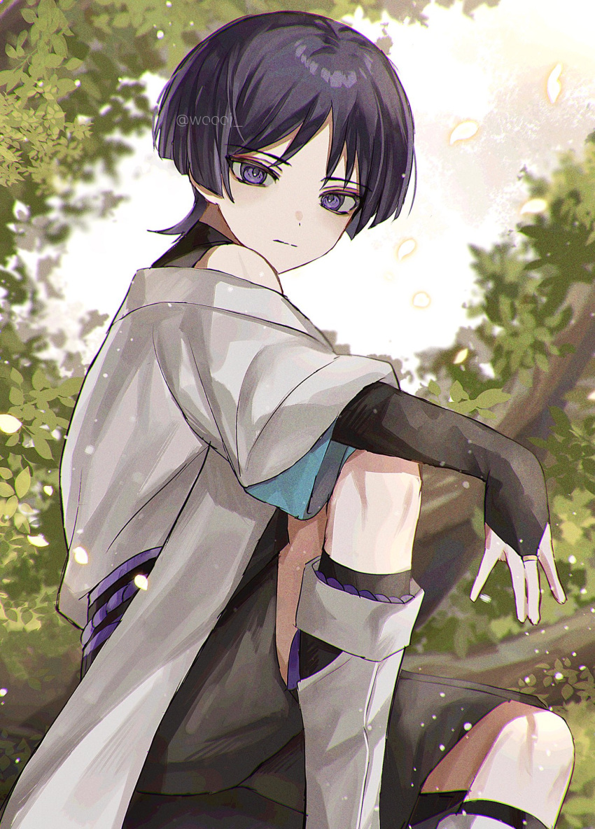 1boy artist_name bangs bare_shoulders black_hair black_shirt black_shorts blush branch bridal_gauntlets closed_mouth commentary_request genshin_impact highres in_tree jacket japanese_clothes knee_up leaf looking_at_viewer male_focus off_shoulder parted_bangs petals purple_eyes scaramouche_(genshin_impact) scaramouche_(wanderer)_(genshin_impact) shirt short_hair short_sleeves shorts sidelocks sitting sleeveless sleeveless_shirt solo tree twitter_username white_jacket wide_sleeves woooi
