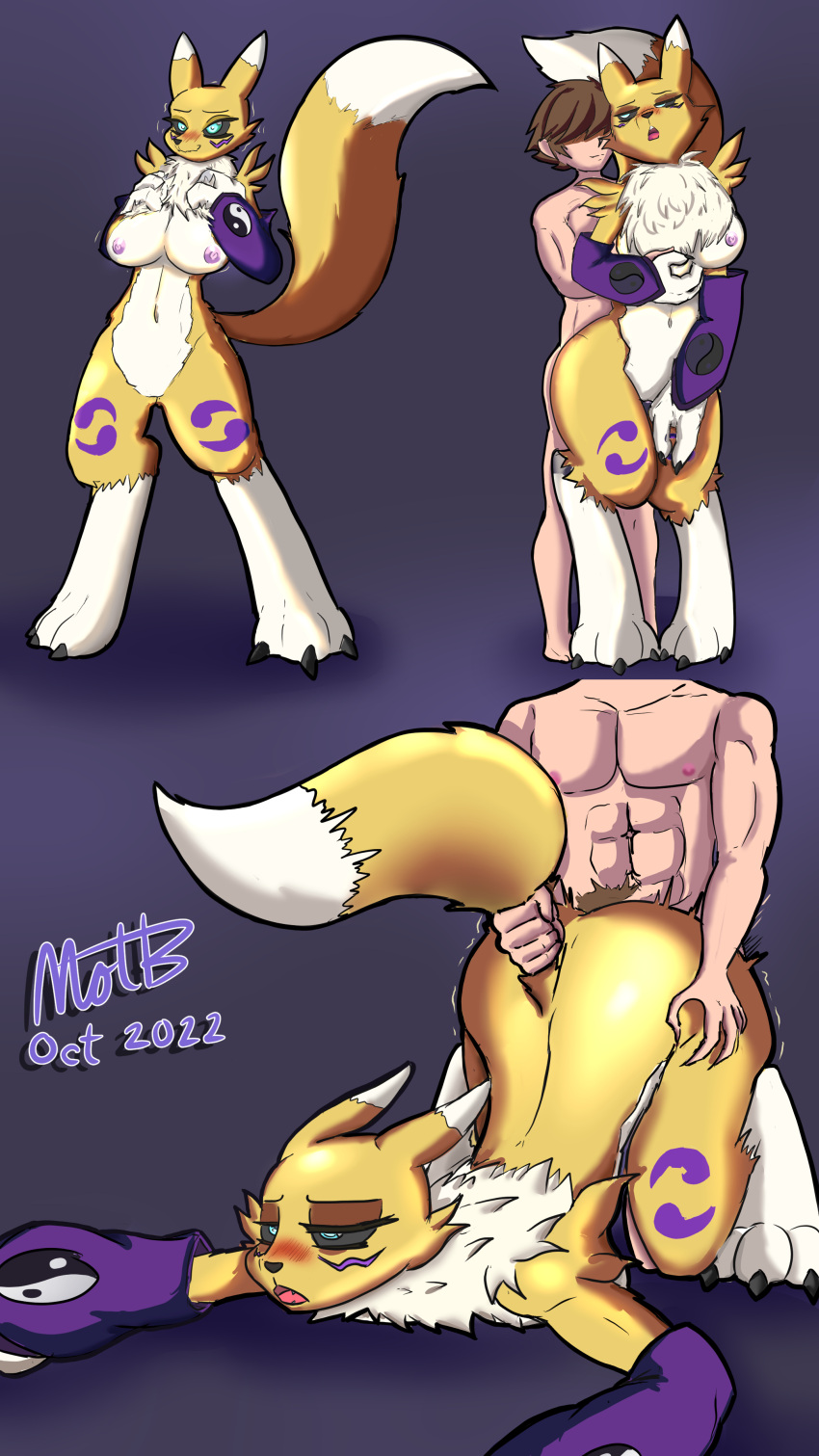 absurd_res andromorph anthro bandai_namco blush blush_lines breast_grab breasts butt canid canine digimon digimon_(species) female fox hand_on_breast hand_on_butt hi_res human human_on_anthro intersex interspecies male male/female mammal nervous_smile nickofthebra paws presenting raised_tail renamon shaking_butt solo tail_grab