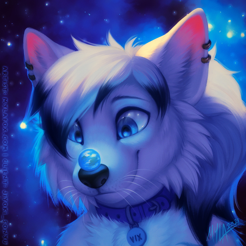 1:1 2021 anthro black_hair black_nose blue_collar blue_eyes bust_portrait canid cheek_tuft closed_smile collar cosmic_background dated ear_piercing ear_ring facial_tuft female fur glistening glistening_eyes hair hi_res macro mammal mouth_closed multicolored_hair mylafox nebula nude piercing portrait ring_piercing solo space space_background text tuft two_tone_hair url whiskers white_body white_fur white_hair