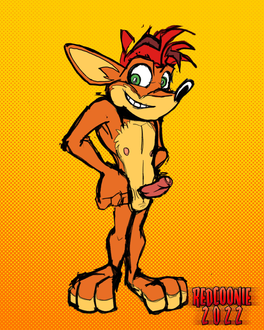 absurd_res activision anthro balls barefoot crash_bandicoot crash_bandicoot_(series) feet genitals hi_res male nipples nude paws penis redcoonie solo video_games