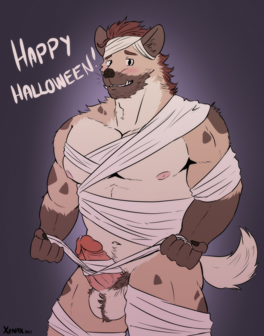 absurd_res anthro balls bandage big_balls blush bodily_fluids erection genital_fluids genitals halloween halloween_costume hi_res holidays humanoid humanoid_genitalia humanoid_penis hyaenid male mammal mummy_costume muscular muscular_anthro muscular_male penis precum pubes solo solo_focus spotted_hyena tusks whiskers xenax