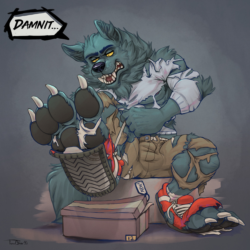 4_toes 5_fingers anthro biped bottomwear canid canine canis claws clothed clothing dialogue digital_media_(artwork) english_text fangs feet fingers footwear fur growth hair hindpaw implied_transformation laces male mammal muscular pants pawpads paws shirt shoes simple_background sitting solo species_transformation speech_bubble teaselbone teeth text toe_claws toes topwear torn_bottomwear torn_clothing torn_shoes transformation tuft were werecanid werecanine werewolf wolf