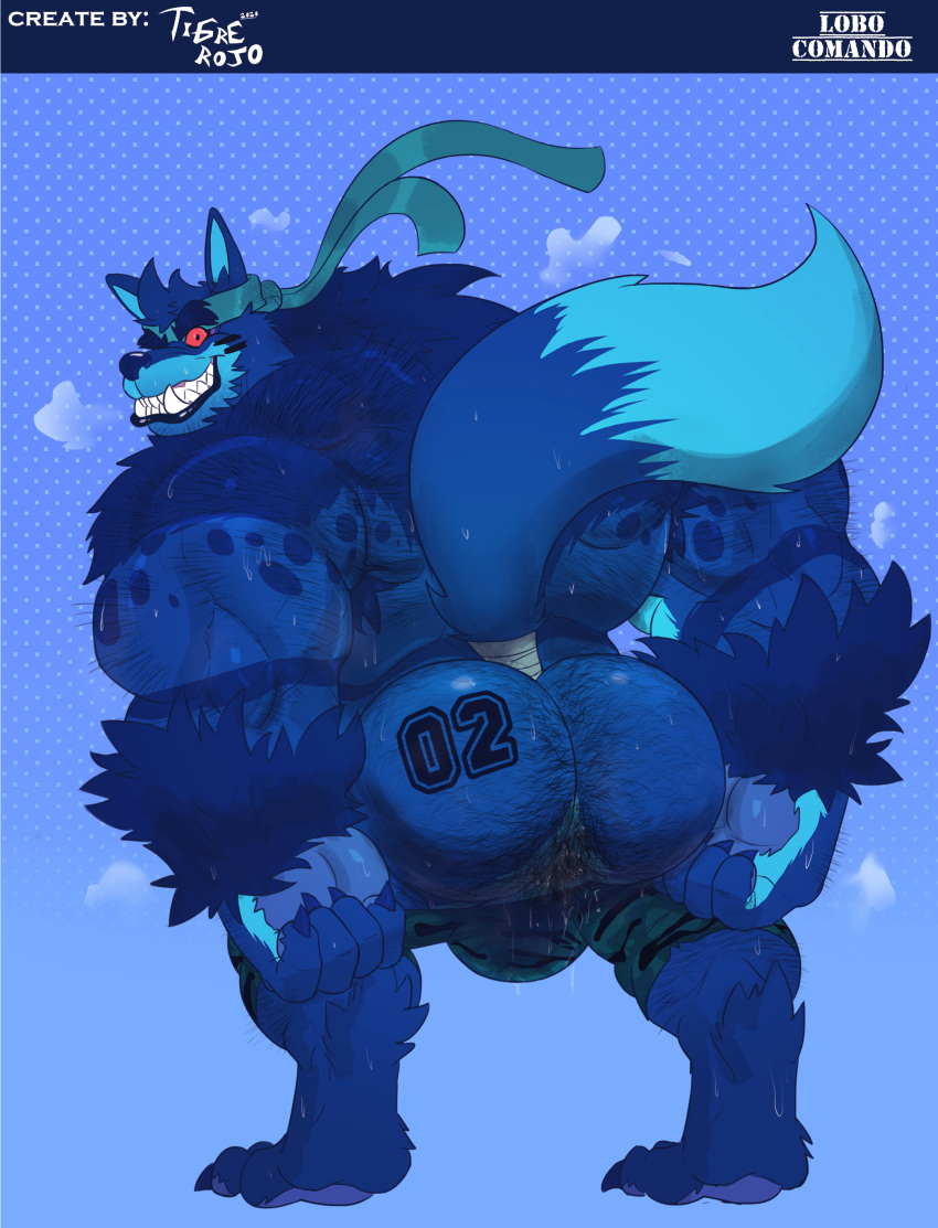 1397_david 4_toes 5_fingers absurd_res accessory anal_hair anthro anus arm_tuft barefoot biceps big_butt big_muscles biped blue_body blue_fur bodily_fluids body_hair bottomwear bottomwear_only broad_shoulders bulge butt butt_tattoo canid canine canis claws clothed clothing digital_media_(artwork) digitigrade dripping english_text feet finger_claws fingers five_o'clock_shadow fur grin hair headband hi_res hindpaw huge_muscles lobo_comando looking_at_viewer looking_back looking_back_at_viewer male mammal muscular muscular_anthro muscular_male musk pants pawpads paws presenting presenting_anus presenting_hindquarters pubes pulling_down_pants rear_view red_eyes simple_background smile solo standing sweat sweaty_butt tail_wraps tattoo teeth text toe_claws toes topless tuft undressing wolf wraps wrist_tuft