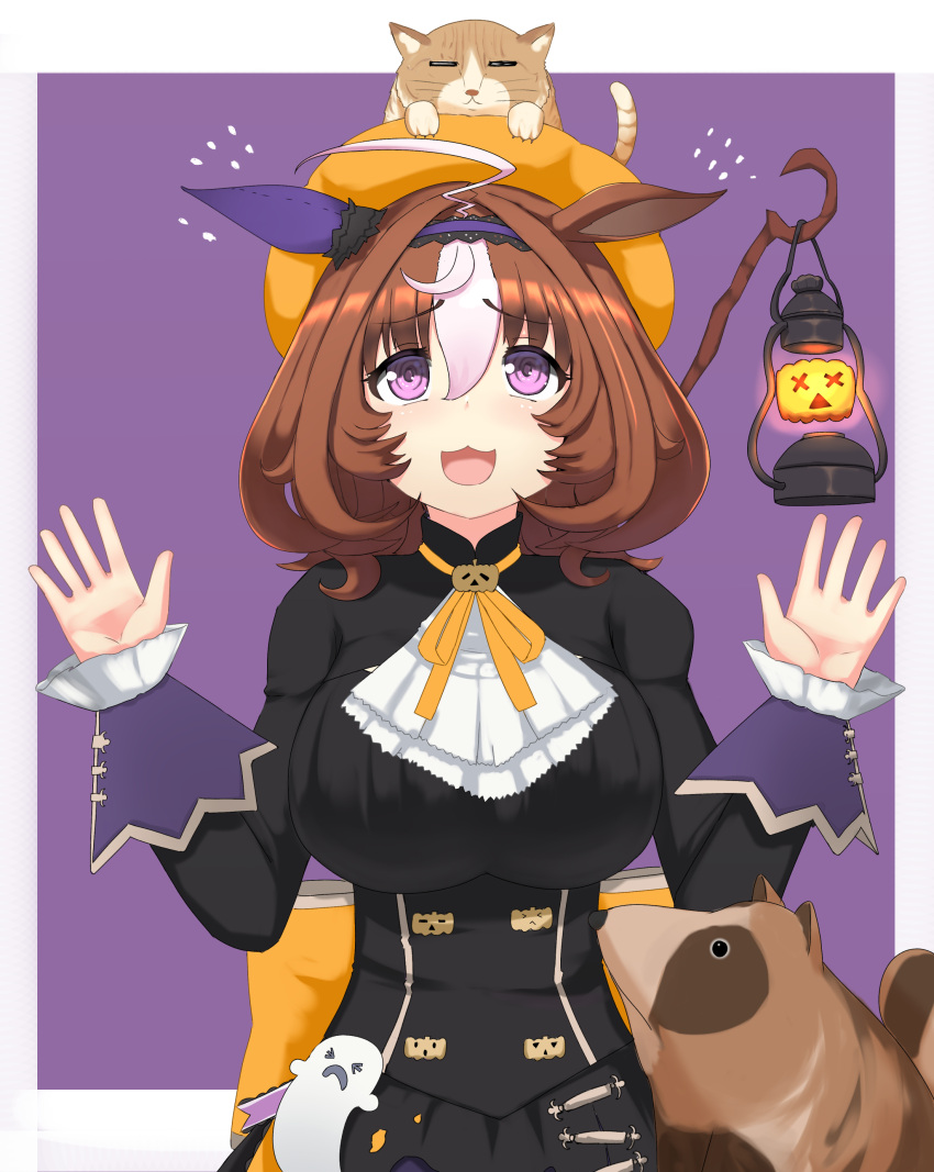 1girl :3 absurdres ahoge animal_ears animal_on_head ascot back_bow bangs black_dress bow brown_hair cat commentary days_in_a_flash_(umamusume) dress ear_covers flying_sweatdrops frilled_sleeves frills ghost_ornament halloween halloween_costume hat high_collar highres horse_ears horse_girl horse_tail jack-o'-lantern_ornament juliet_sleeves lantern large_bow long_sleeves looking_up marimo_maru medium_hair meisho_doto_(dot-o'-lantern)_(umamusume) meisho_doto_(umamusume) multicolored_hair neck_ribbon official_alternate_costume on_head open_mouth orange_bow orange_headwear orange_ribbon outside_border puffy_sleeves purple_background purple_eyes raccoon ribbon simple_background single_ear_cover solo staff standing tail two-tone_hair umamusume w_arms white_ascot white_background white_hair
