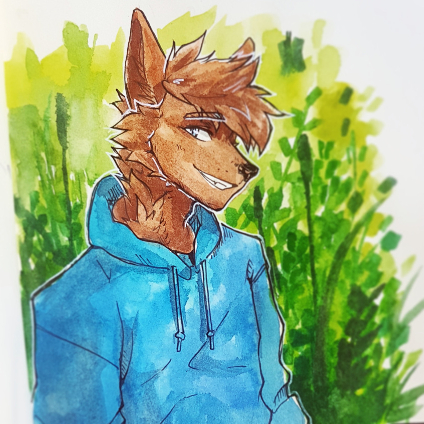 1:1 akatan_art anthro blue_clothing blue_eyes blue_hoodie blue_topwear brown_body brown_fur brown_hair canid cheek_tuft clothed clothing facial_tuft fur glistening glistening_eyes grin hair half-length_portrait hi_res hoodie looking_at_viewer male mammal narrowed_eyes neck_tuft plant portrait short_hair shrub simple_background smile solo topwear tuft unsigned