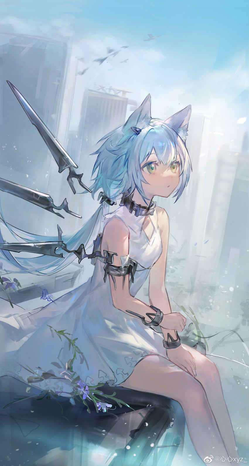 1girl absurdres animal_ears arknights bare_shoulders blue_sky breasts cat_ears cat_girl detached_wings dress earpiece feet_out_of_frame green_eyes grey_hair highres long_hair mechanical_wings official_alternate_costume outdoors parted_lips ponytail rosmontis_(arknights) rosmontis_(become_anew)_(arknights) sitting sky small_breasts solo weibo_logo weibo_username white_dress wings zxy_(xinxinxyz)