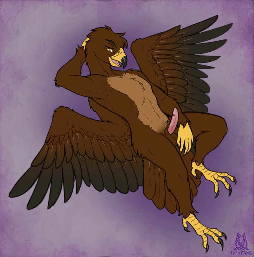 2019 accipitrid accipitriform anthro avian avian_penis balls beak bird bird_feet brown_body claws countershade_torso countershading eagle erection eyebrows feathered_wings feathers genitals golden_eagle hand_behind_head head_tuft hi_res lichfang looking_at_viewer lying male nude on_back open_mouth pinup pose seductive simple_background solo talons toe_claws true_eagle tuft wings yellow_eyes
