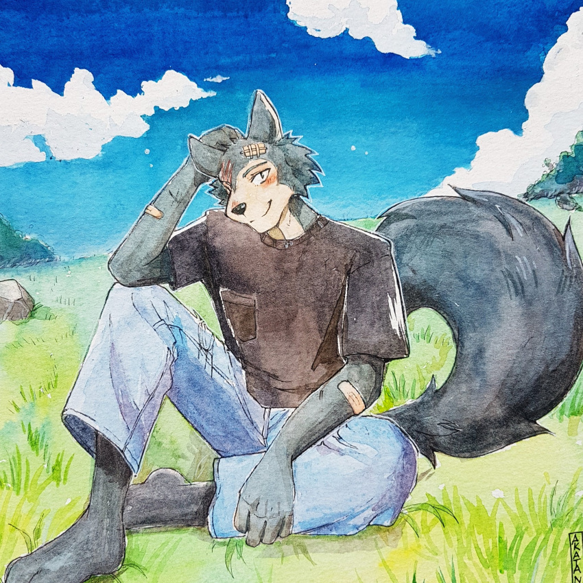 1:1 akatan_art anthro beastars black_nose blue_bottomwear blue_clothing blue_pants blue_sky blush bottomwear brown_clothing brown_shirt brown_t-shirt brown_topwear canid canine canis closed_smile clothed clothing cloud full-length_portrait fur grass grey_body grey_fur hi_res legoshi_(beastars) looking_at_viewer male mammal mouth_closed outside pants plant portrait rock shirt shrub sitting sky solo t-shirt tan_body tan_fur topwear wolf