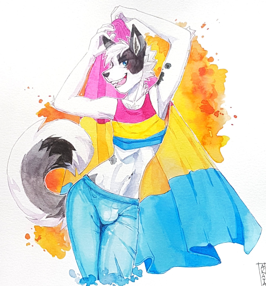 abstract_background akatan_art anthro black_body black_fur blue_bottomwear blue_clothing blue_eyes blue_topwear bottomwear bulge canid canine canis cheek_tuft clothed clothing domestic_dog facial_tuft flag front_view fur glistening glistening_eyes grey_body grey_fur hair hi_res lgbt_pride looking_at_viewer male mammal midriff neck_tuft open_mouth open_smile pansexual_pride_colors pink_clothing pink_topwear portrait pride_colors short_hair signature smile solo standing three-quarter_portrait topwear traditional_media_(artwork) tuft white_body white_fur white_hair yellow_clothing yellow_topwear