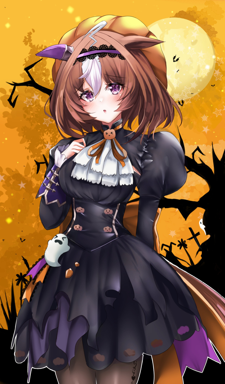 1girl :o absurdres ahoge animal_ears arm_behind_back ascot back_bow bangs bare_tree bat_(animal) black_dress blush bow brown_hair commentary cowboy_shot days_in_a_flash_(umamusume) dress ear_covers frilled_sleeves frills frown full_moon ghost ghost_ornament graveyard hairband halloween halloween_costume hand_on_own_chest hat high_collar highres horse_ears horse_girl horse_tail jack-o'-lantern_ornament juliet_sleeves lace-trimmed_hairband lace_trim large_bow long_sleeves looking_at_viewer medium_hair meisho_doto_(dot-o'-lantern)_(umamusume) meisho_doto_(umamusume) moon multicolored_hair neck_ribbon night official_alternate_costume orange_bow orange_headwear orange_ribbon orange_sky outdoors parted_lips puffy_sleeves pumpkin_hat purple_eyes purple_hairband ribbon setu_(shining12) short_dress single_ear_cover sky solo standing tail tree two-tone_hair umamusume white_ascot white_hair
