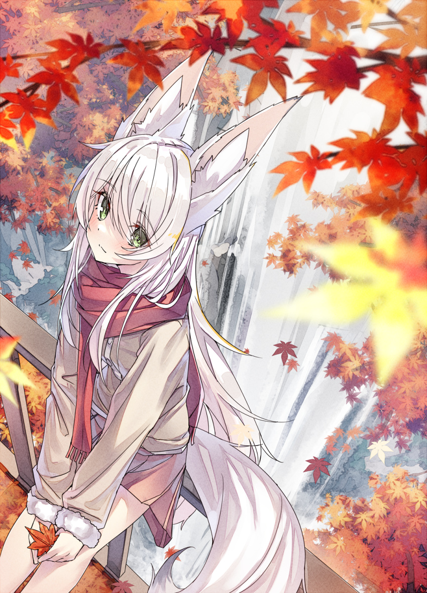 1girl animal_ear_fluff animal_ears autumn autumn_leaves fence fox_ears fox_girl fox_tail fur-trimmed_sleeves fur_trim green_eyes highres holding holding_leaf jacket leaf long_hair long_sleeves looking_at_viewer miniskirt on_fence original pink_skirt red_scarf scarf shiro_youduki sitting skirt tail tree water waterfall white_hair