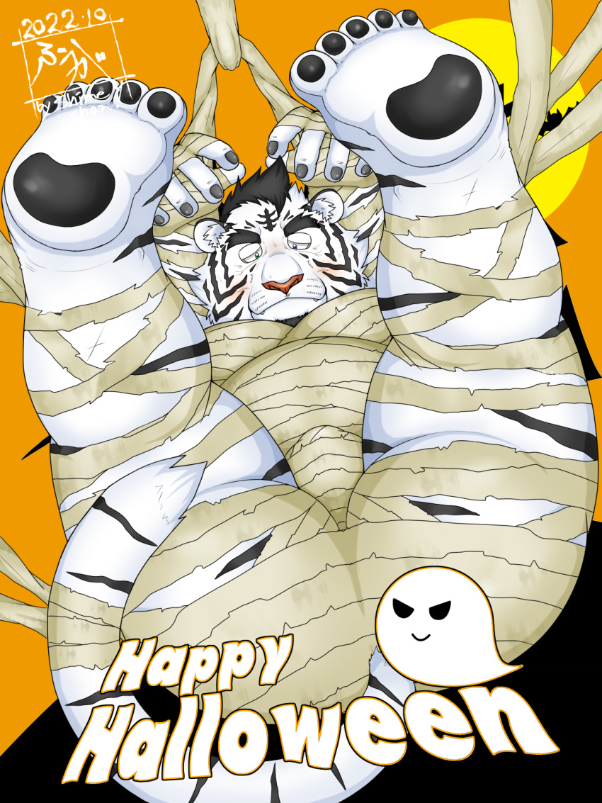 2022 anthro belly bound bulge butt feet felid halloween halloween_costume hi_res holidays kemono male mammal moobs mummy_costume overweight overweight_male pantherine solo tanutronik753_k tiger white_body