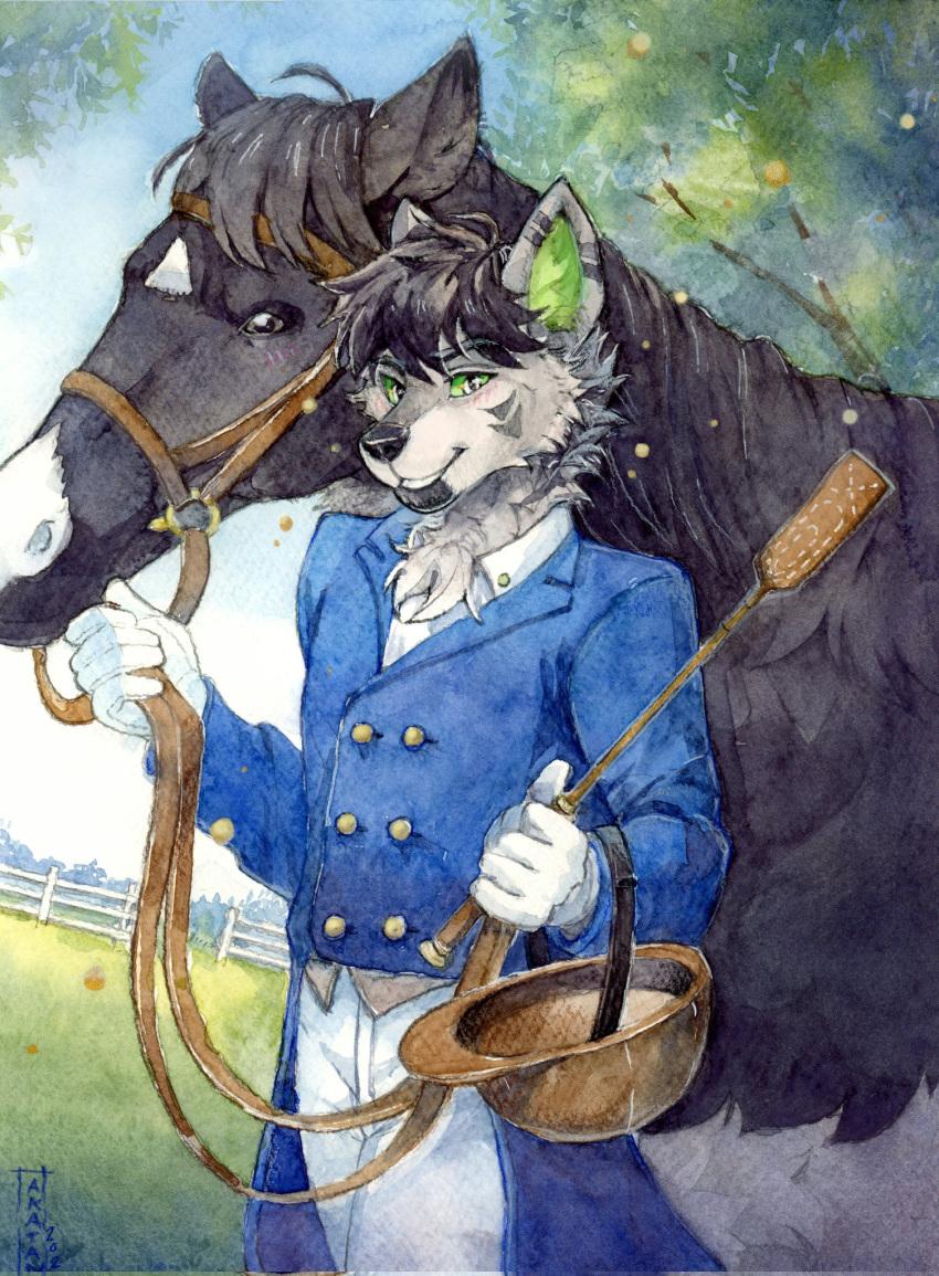 akatan_art ambiguous_gender anthro black_body black_fur black_hair blue_clothing blue_topwear bottomwear brown_helmet button_(fastener) canid cheek_tuft chest_tuft clothed clothing duo equid equine facial_tuft feral fur glistening glistening_eyes green_sclera grey_body grey_fur hair hi_res horse looking_at_viewer male mammal outside pants plant smile standing topwear tree tuft white_body white_bottomwear white_clothing white_eyes white_fur white_pants