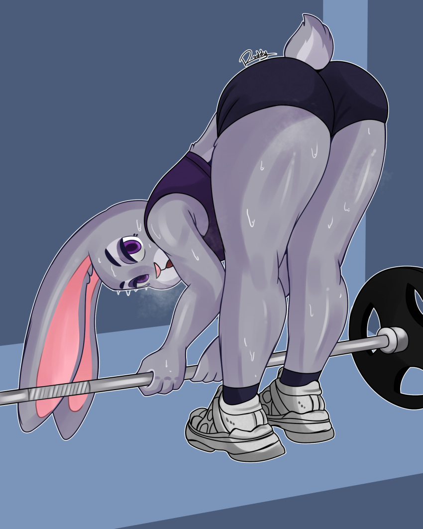 2022 absurd_res anthro athletic athletic_female big_butt bodily_fluids butt clothed clothing digital_media_(artwork) disney female fur grey_body grey_fur hi_res judy_hopps lagomorph leporid looking_at_viewer mammal pink_nose purple_eyes rabbit rodd.y simple_background solo sweat thick_thighs topwear wide_hips zootopia