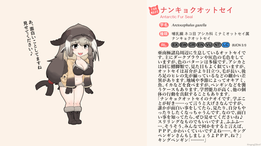 :3 :d animal_humanoid bikini black_eyes boots breasts brown_hair cleavage clothed clothing english_text fan_character fangs female footwear fur_collar gloves hair handwear hi_res humanoid jacket japanese_text kemono_friends long_hair mammal marine marine_humanoid midriff mo23 navel open_mouth pinniped pinniped_humanoid scientific_name seal_humanoid smile solo swimwear text topwear translation_request