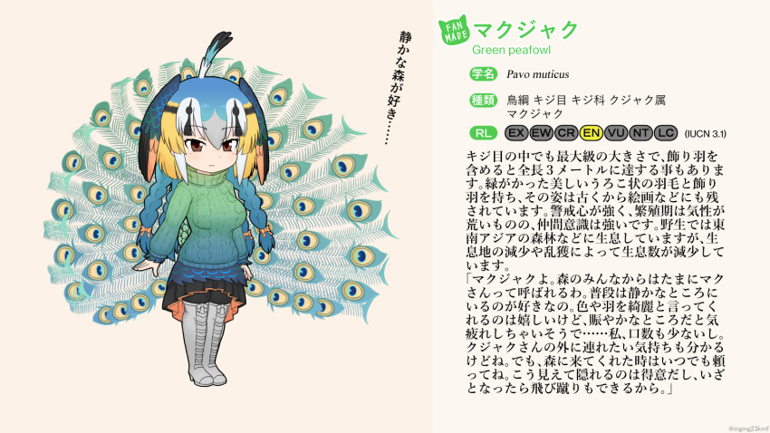 animal_humanoid avian avian_humanoid big_breasts bird bird_humanoid blonde_hair boots bottomwear breasts brown_eyes clothed clothing english_text fan_character feathers female footwear galliform galliform_humanoid hair head_wings hi_res humanoid japanese_text kemono_friends knee_boots knee_highs legwear mo23 multicolored_hair ock_h pantyhose peafowl_humanoid scientific_name skirt solo sweater tail_feathers text topwear translation_request turquoise_hair turtleneck white_hair wings