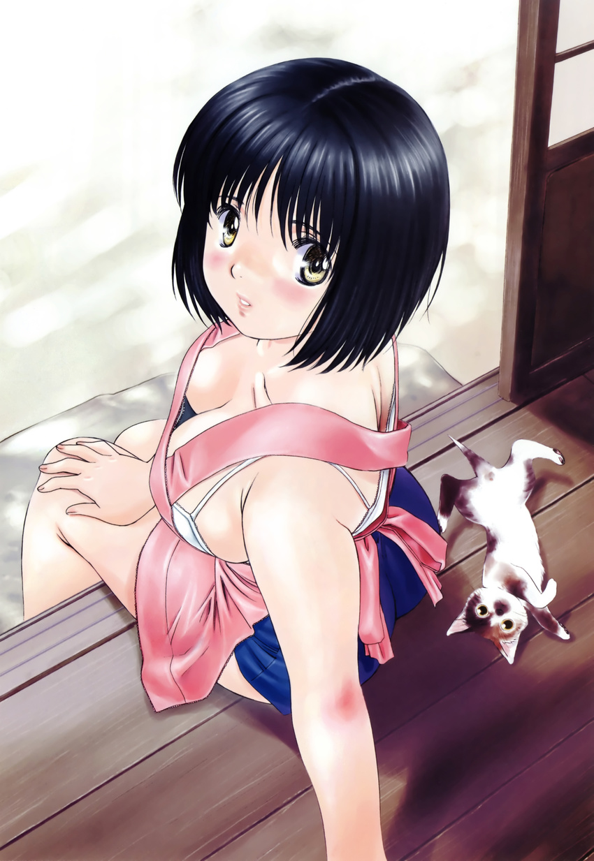 absurdres apron arm_support black_hair blush bra breasts brown_eyes cat downblouse highres kobayashi_hiyoko large_breasts looking_back non-web_source official_art oku-sama_wa_joshi_kousei onohara_asami short_hair shorts sitting underwear wooden_floor