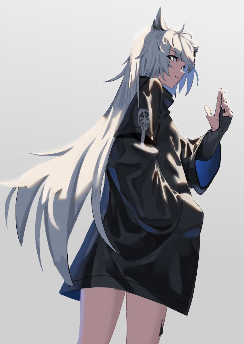 1girl absurdres animal_ears antenna_hair arknights black_coat black_gloves coat cowboy_shot from_behind gloves grey_background grey_hair hand_in_pocket highres lappland_(arknights) long_hair looking_at_viewer looking_back natoriusu_sansei no_tail oripathy_lesion_(arknights) partially_fingerless_gloves simple_background solo very_long_hair wolf_ears wolf_girl yellow_eyes