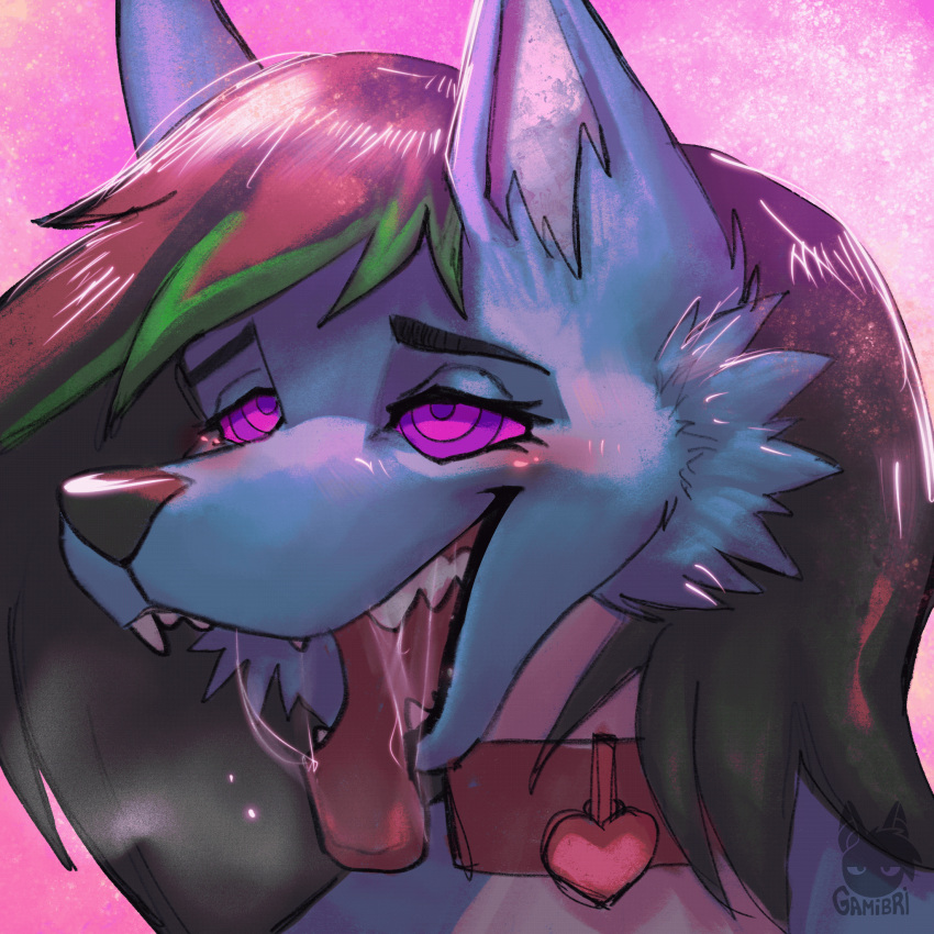 &lt;3 animated anthro athletic berrylicious bodily_fluids breath breath_cloud canid canine canis collar ears_up fangs female fox fur gamibri gynomorph headshot_portrait heat_(temperature) hi_res hypnosis hypnotic_eyes hypnotizing_viewer in_heat intersex looking_pleasured mammal mind_control mouth_shot multicolored_body multicolored_fur open_mouth pleased_expression portrait purple_eyes saliva saliva_string skinny snout solo teeth tongue tongue_out wolf